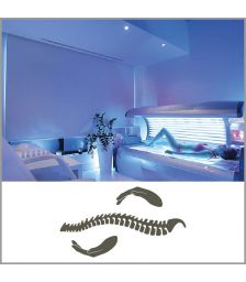 Vrednostni bon za 30 €, Vit-al center, Ljubljana (Vrednostni bon, izvajalec storitev: VIT - AL CENTER d.o.o.)