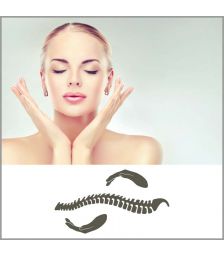 Vrednostni bon za 50 €, Vit-al center, Ljubljana (Vrednostni bon, izvajalec storitev: VIT - AL CENTER d.o.o.)