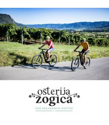 Celodnevni izlet z električnimi kolesi za 2 osebi, Ošterija Žogica, Solkan (Vrednostni bon, izvajalec storitev: SAŠA GOLOB S.P.)