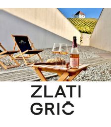 Vinska pravljica za 2 osebi, Zlati grič, Slovenske Konjice (Vrednostni bon, izvajalec storitev: ZLATI GRIČ, D.O.O.)