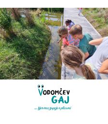 {[sl]:Družinski ogled Vodomčevega gaja s prikazom obročkanja ptic za 2 odrasla in 1 otroka, Vodomčev gaj, Cerovo (Vrednostni bon, izvajalec storitev: ZAVOD VODO