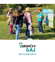 {[sl]:Družinski ogled Vodomčevega gaja s prikazom obročkanja ptic za 2 odrasla in 2 otroka, Vodomčev gaj, Cerovo (Vrednostni bon, izvajalec storitev: ZAVOD VODO