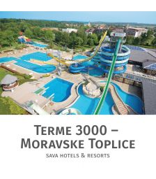 Celodnevno kopanje s kosilom za 2 osebi, Terme 3000, Moravske Toplice (Vrednostni bon, izvajalec storitev: Terme 3000)