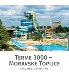 Celodnevno kopanje s kosilom za 1 osebo, Terme 3000, Moravske Toplice (Vrednostni bon, izvajalec storitev: Terme 3000)