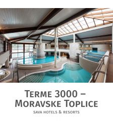 Celodnevno kopanje za 2 osebi, Terme 3000, Moravske Toplice (Vrednostni bon, izvajalec storitev: Terme 3000)