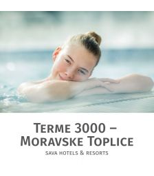 Celodnevno kopanje s kosilom in savno za 1 osebo, Terme 3000, Moravske Toplice (Vrednostni bon, izvajalec storitev: Terme 3000)