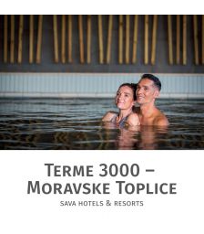 Celodnevno kopanje s kosilom in savno za 2 osebi, Terme 3000, Moravske Toplice (Vrednostni bon, izvajalec storitev: Terme 3000)