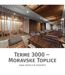 Celodnevno kopanje s savno za 2 osebi, Terme 3000, Moravske Toplice (Vrednostni bon, izvajalec storitev: Terme 3000)