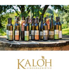 Vinsko kulinarično razvajanje za 2 osebi, Vinogradništvo Kaloh, Maribor (Vrednostni bon, izvajalec storitev: TURISTIČNA KMETIJA Z NASTANITVIJO - TIMOTEJ KALOH)