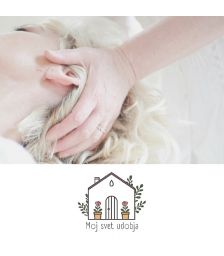 Sprostitvena terapija Access Bars 60 minut za eno oseb, Anja Štampar s.p., Rečica ob Savinji (Vrednostni bon, izvajalec storitev: MOJ SVET UDOBJA,Anja Štampar s.p.)