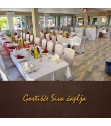 Vrednostni bon v vrednosti 100 €, Gostišče Siva čaplja, Trnovska vas (Vrednostni bon, izvajalec storitev: TRINKAUS JANKO S.P.)