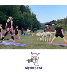 Zvočna terapija in druženje z alpakami za eno osebo, Zavod Alpaka Land, Slovenj Gradec (Vrednostni bon, izvajalec storitev: Zavod Alpaka Land, so.p.)