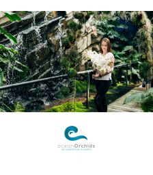 {[sl]:Vstopnica za dve odrasli osebi v tropski vrt Ocean Orchids, Tropski vrt Ocean Orchids, Dobrovnik (Vrednostni bon, izvajalec storitev: Ocean Orchids d.