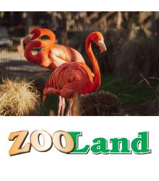 {[sl]:Vstopnica za obisk živalskega vrta za 1 odraslo osebo in 1 otroka, Zoo Land, Slovenske Konjice (Vrednostni bon, izvajalec storitev: MINI ŽIVALSKI VRT