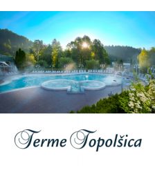 Vrednostni darilni bon v vrednosti 100€, Terme Topolčica, Topolšica (Vrednostni bon, izvajalec storitev: TERME TOPOLŠICA, D.D.)