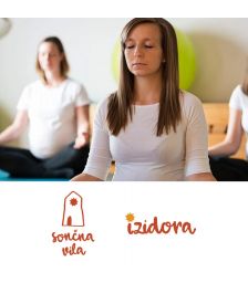 Vrednostni darilni bon v vrednosti 20€, Sončna vila, Maribor (Vrednostni bon, izvajalec storitev: ATMA, Izidora Vesenjak Dinevski s.p.)