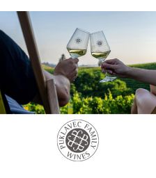 Vinska degustacija za dve osebi v Zidanici Malek, Puklavec Family Wines, Ivanjkovci (Vrednostni bon, izvajalec storitev: Puklavec Family Wines d.o.o.)