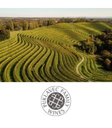 Vinska degustacija za dve osebi v vinski kleti Puklavec Family Wines, Puklavec Family Wines, Ormož (Vrednostni bon, izvajalec storitev: Puklavec Family Wines d.o.o.)