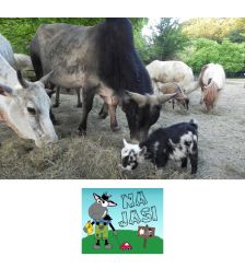 {[sl]:Družinska vstopnica za obisk mini živalskega vrta za 2 odrasla in do 3 otroke, Živalski park Na jasi, Sela pri Dobovi (Vrednostni bon, izvajalec storitev: UROŠ KEBE - NOSILEC DOPOLNILNE DEJAVNOSTI NA