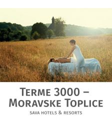 Masaža celega telesa Panonski travnik za 1 osebo, Terme 3000, Moravske Toplice (Vrednostni bon, izvajalec storitev: Terme 3000)