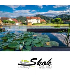 Romantična noč za 2 osebi, Skok, Mozirje (Vrednostni bon, izvajalec storitev: SKOK-M D.O.O.)