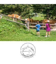 {[sl]:Družinski oddih v dvoje za 2 odrasla in do 3 otroke v koči na Veliki Planini, Koča Stanetova bajta, Velika Planina (Vrednostni bon, izvajalec storitev: ZASTOPNIŠTVO PRI PRODAJI IZDELKOV, MARTIN DUŠAK