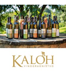 Vinsko kulinarično razvajanje za 2 osebi, Vinogradništvo Kaloh, Maribor (Vrednostni bon, izvajalec storitev: TURISTIČNA KMETIJA Z NASTANITVIJO - TIMOTEJ KALOH)