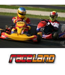 DIRKALNA VOŽNJA Z GO-KARTOM - DVOSEDOM 9 km: 2 x 10 min. za 2 osebi, Karting center Raceland, Krško - Vrbina (Vrednostni bon, izvajalec storitev: Adrenalina d.o.o.)