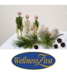 Aroma masaža celega telesa za 1 osebo, Wellness Živa, Rikli Balance hotel Bled (Vrednostni bon, izvajalec storitev: Hoteli Bled)