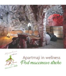 Wellness Potočka Zijalka za 2 osebi, Apartmaji in mini wellness "Pod macesnovo streho", Solčavava (Vrednostni bon, izvajalec storitev: LEGRO-IVAN GOLOB K.D.)
