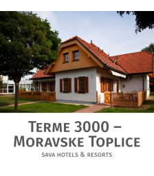 Oddih v prekmurski hiški za 2 osebi, Terme 3000, Moravske Toplice