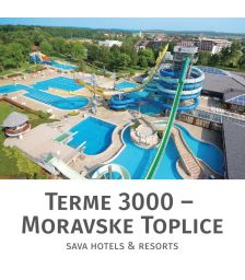 Celodnevno kopanje s kosilom za 2 osebi, Terme 3000, Moravske Toplice