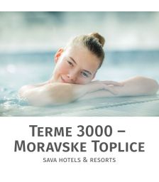 Celodnevno kopanje s kosilom in savno za 1 osebo, Terme 3000, Moravske Toplice