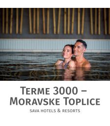 Celodnevno kopanje s kosilom in savno za 2 osebi, Terme 3000, Moravske Toplice