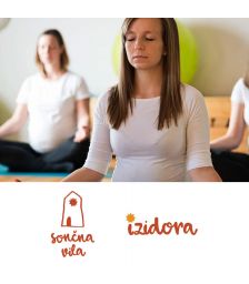 Vrednostni bon v vrednosti 20 €., Sončna Vila, Maribor