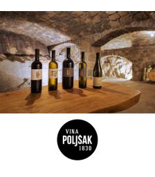Vinsko kulinarična degustacija s 5 vzorci vin za 2 osebi in darilom, Vina Poljšak, Vipava