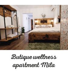 Nočitev za dve osebi v butičnem wellness apartmaju MILA, Ormož (Vrednostni bon, izvajalec storitev: SERGEJ ŠTIBERC S.P., DOTIK NARAVE)