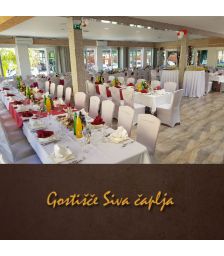 Vrednostni bon v vrednosti 100 €, Gostišče Siva čaplja, Trnovska vas (Vrednostni bon, izvajalec storitev: TRINKAUS JANKO S.P.)