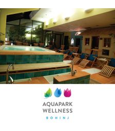 Celodnevno kopanje in savna za eno osebo, Aquapark & Wellness Bohinj, Bohinjska Bistrica (Vrednostni bon, izvajalec storitev: SHD,DRUŽBA ZA UPRAVLJANJE D.O.O.)