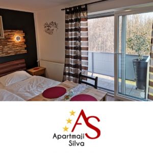 Oddih v studiu z zajtrkom za 2 osebi, Apartmaji Silva, Ljutomer (Vrednostni bon, izvajalec storitev: TTZ, VLADO ŽNIDARIČ S.P.)