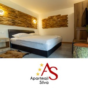 Soba za razvajanje z nočitvijo in zajtrkom za 2 osebi, Apartmaji Silva, Ljutomer (Vrednostni bon, izvajalec storitev: TTZ, VLADO ŽNIDARIČ S.P.)