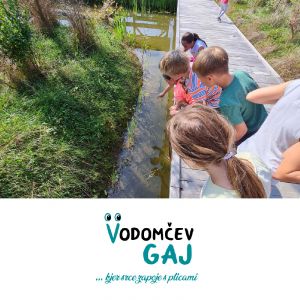 {[sl]:Družinski ogled Vodomčevega gaja s prikazom obročkanja ptic za 2 odrasla in 1 otroka, Vodomčev gaj, Cerovo (Vrednostni bon, izvajalec storitev: ZAVOD VODO