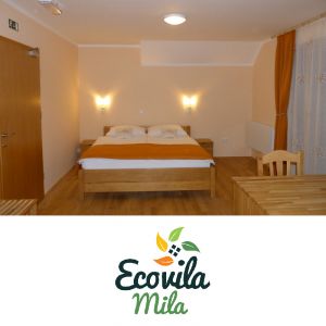 Sanjsko enodnevno razvajanje za 2 osebi, Eco Vila Mila, Rogaška Slatina (Vrednostni bon, izvajalec storitev: CT D.O.O. SVETOVANJE IN TRGOVINA)