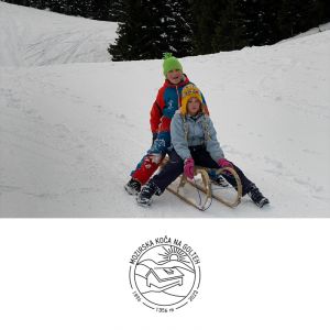 Zimsko sankanja ali krpljanje za 2 osebi na Mozirski koči, Mozirska koča, Radegunda (Vrednostni bon, izvajalec storitev: KAMP MENINA D.O.O.)