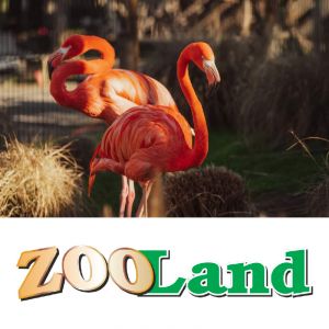 {[sl]:Vstopnica za obisk živalskega vrta za 1 odraslo osebo in 1 otroka, Zoo Land, Slovenske Konjice (Vrednostni bon, izvajalec storitev: MINI ŽIVALSKI VRT