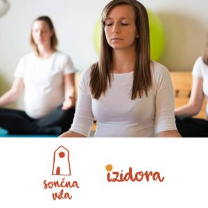 Vrednostni darilni bon v vrednosti 20€, Sončna vila, Maribor (Vrednostni bon, izvajalec storitev: ATMA, Izidora Vesenjak Dinevski s.p.)
