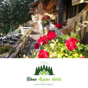 Romantična noč v dvoje na Bledu, Hotel Ribno, Bled (Vrednostni bon, izvajalec storitev: EPIDOS D.O.O.)