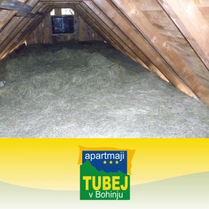 Spanje na senu za 2 osebi, Apartmajska hiša Tubej, Bohinjska bistrica (Vrednostni bon, izvajalec storitev: TUBEJ, D.O.O.)