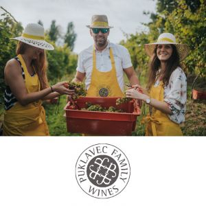 Vrednostni bon v vrednosti 50€, Puklavec Family Wines, Ormož (Vrednostni bon, izvajalec storitev: Puklavec Family Wines d.o.o.)
