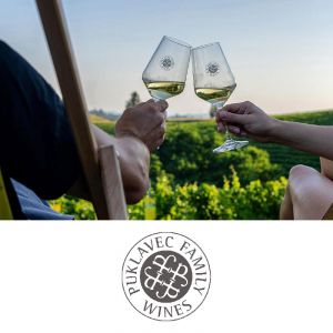 Vinska degustacija za dve osebi v Zidanici Malek, Puklavec Family Wines, Ivanjkovci (Vrednostni bon, izvajalec storitev: Puklavec Family Wines d.o.o.)